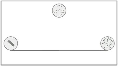 More linear than log? Non-symbolic number-line estimation in 3- to 5-year-old children